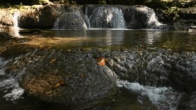 Media video showing a small waterfall Flowed in descending order With a basin Clear water flowing slowly