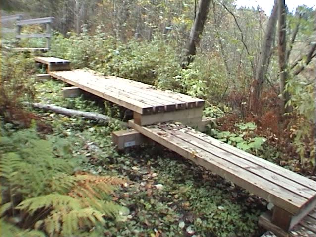 Construction of wooden path through swamp (one)