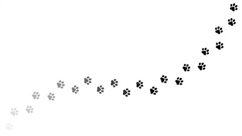Animal paw prints. Cartoon comic funny paws along the path. Footprints walking animal on a trajectory of movement.