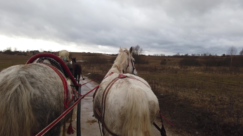 Russian troika in the autumn fields. Slow motion