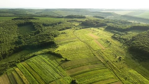 Top down aerial view of green summer forest with large area of cut down trees as result of global deforestation industry. Harmful human influence on world ecology. วิดีโอสต็อก