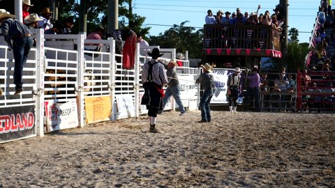 Homestead, Florida/USA - January 26, 2020: 71st Annual Homestead Championship Rodeo, unique western sporting event. Bull riding competition at Homestead Rodeo. Rodeo Footage.
