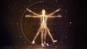 3D Futuristic Animation of Leonardo Da Vinci Vitruvian Man. Anatomy of a Perfect Human Male Body Showing Skeleton, Brain and Energy Flow with Data and Infographics. - Powered by Shutterstock - Get 15% off with code: PIKWIZARD15