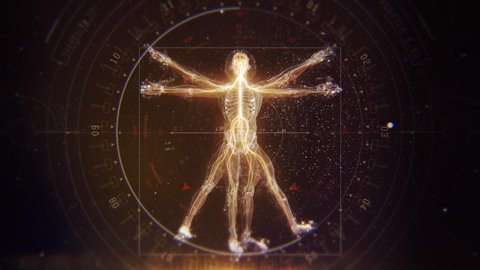 3D Futuristic Animation of Leonardo Da Vinci Vitruvian Man. Anatomy of a Perfect Human Male Body Showing Skeleton, Brain and Energy Flow with Data and Infographics.