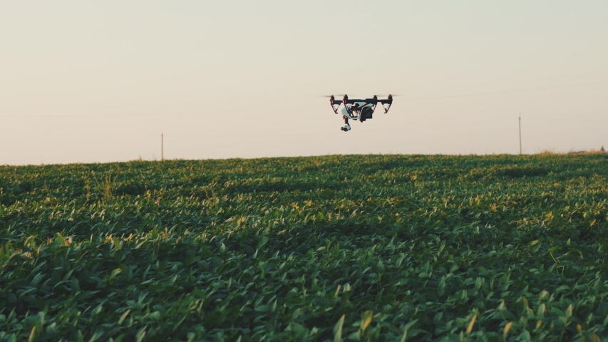 Flying Smart Agriculture Drone. Artificial Intelligence. Drone Scan Agriculture Farm. Agriculture Innovation. Farming Field Industry. Analyze the Field. Professional Vehicle Aircraft. | Shutterstock HD Video #1045464847