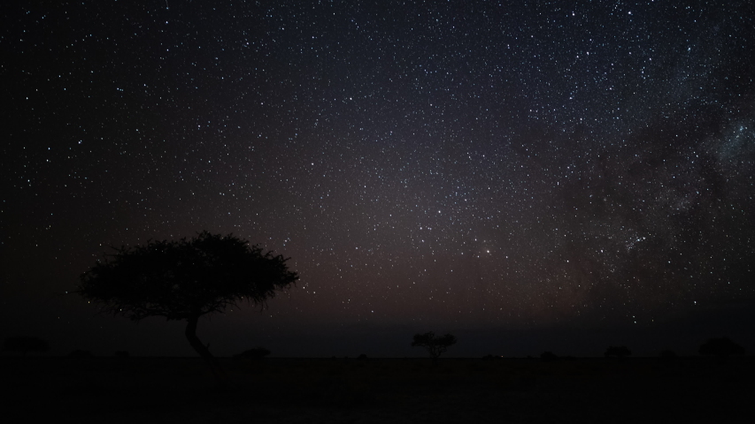Astro timelapse of an Acacia tree silhouetted against the African night sky with the Milky Way rising in the Southern Hemisphere followed by moon rising over a wide barren/arid landscape. | Shutterstock HD Video #1045482610