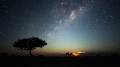 Astro timelapse of an Acacia tree silhouetted against the African night sky with the Milky Way rising in the Southern Hemisphere followed by moon rising over a wide barren/arid landscape.