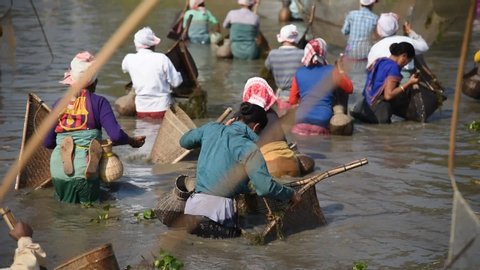 Kamrup. Assam, India. 14 January 2020. Villagers participate in a  community fishing as a part of Bhogali Bihu or Magh Bihu celebration, at Panbari Village.