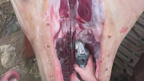 Man with a chainsaw cutting a pig
