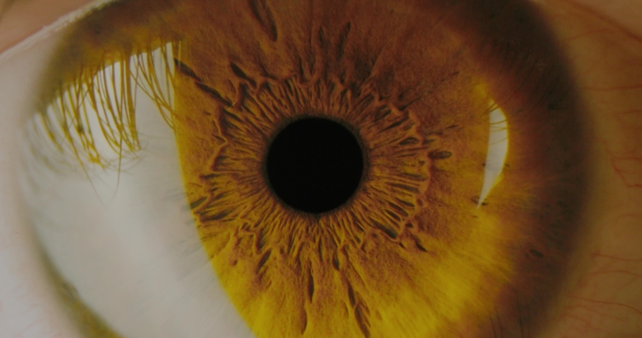Extreme Close Up Of Male Eye Moving out of Pupil Retina Contracts Humanity 8k Royalty-Free Stock Footage #1045513096