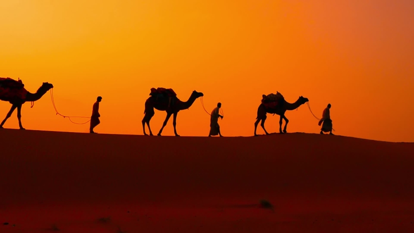Cameleers, camel Drivers at sunset. Thar desert on sunset Jaisalmer, Rajasthan, India. Royalty-Free Stock Footage #1045525102