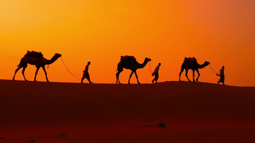 Cameleers, camel Drivers at sunset. Thar desert on sunset Jaisalmer, Rajasthan, India. | Shutterstock HD Video #1045525102