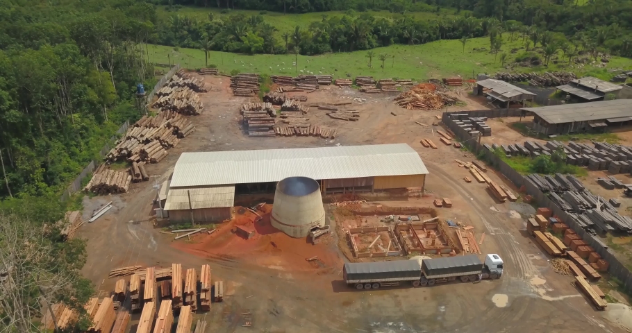 Sawmills receive wood from trees felled from the Amazon rainforest. Municipality of Manicoré, Amazonas, Brazil.