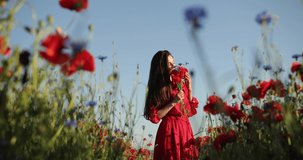 Filming from below of young brunette woman in a red polka dot dress walks with bouquet in the middle of the field of poppies. She is sniffing flowers and the rays of the sun shines on her. 4K video.