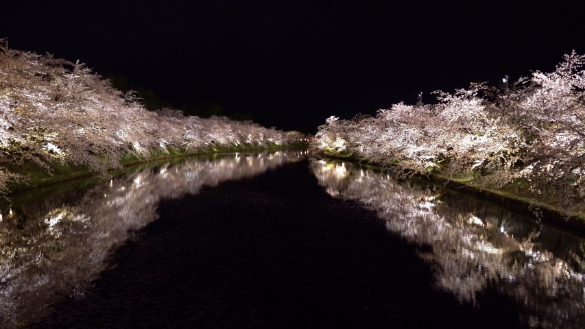 Hirosaki Park Cherry Blossom Trees 스톡 동영상 비디오(100% 로열티 프리) 1045561732 | Shutterstock