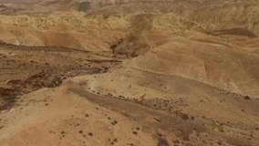 Aerial of wild ibex at the Valley of Zin. Negev Desert. Israel. DJI-0047-03