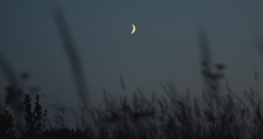 Looking at young moon from meadow in summer night sky point of view shot