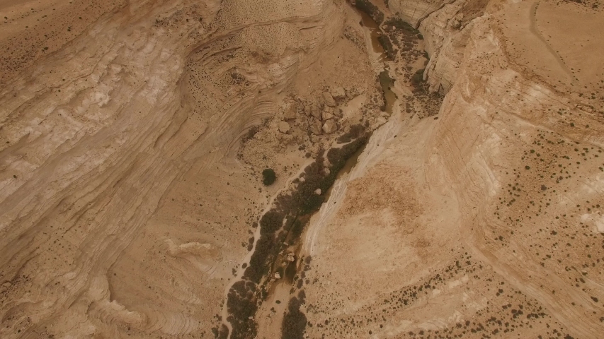 Aerial view of Ein Avdat canyon and Negev Desert. Israel. 