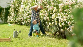 Grandfather and grandchild. Dad teaching little son care plants. Senior gardener. Gardening with a kids. Old and Young. Spring and hobbies. Gardener gardening. Working in garden - Powered by Shutterstock - Get 15% off with code: PIKWIZARD15