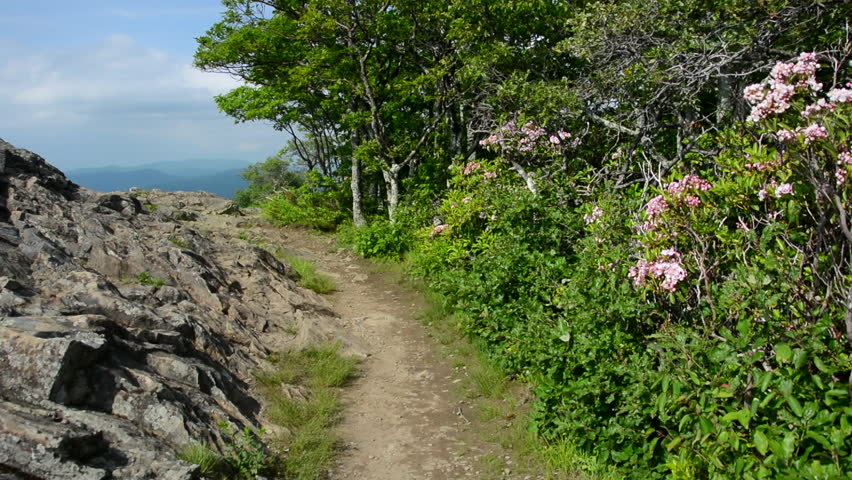 The Appalachian Trail on Little Stony Man Mountain in Shenandoah National Park, Virginia.