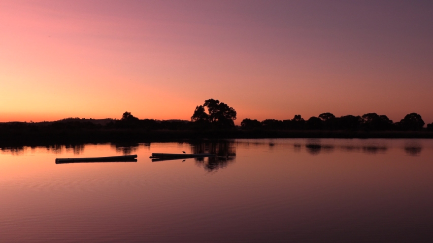 Sunset at yarrambat park lake with a duck sitting on a wood and another duck enjoying his swim and goes like a boat 