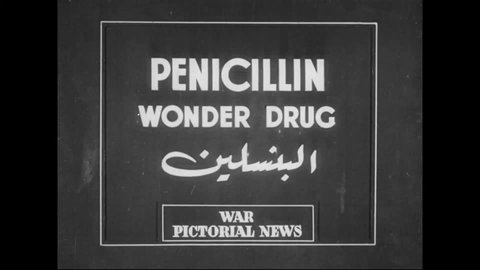 CIRCA 1944 - Men and women are seen making penicillin at a British laboratory.