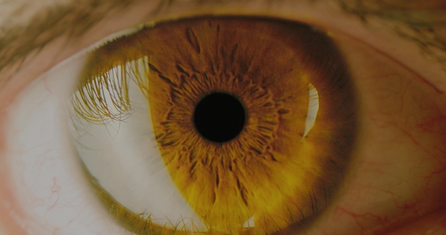 Extreme Close Up Zoom in Of Male Eye Tracking Shot Retina Contracts Depression 8k | Shutterstock HD Video #1045629355