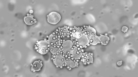 Coronavirus Virus, 3d animation Full HD 1080 - Powered by Shutterstock - Get 15% off with code: PIKWIZARD15