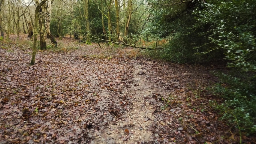 First person view through woodland park called Sutton Park in Winter