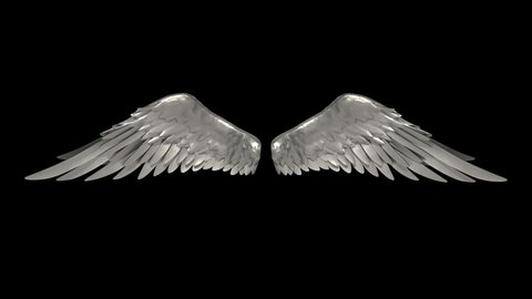 Silver Wings Alpha Matte 3D Animation Rendering 4K