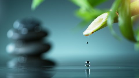 Super slow motion of dripping drops from bamboo, spa and wellness concept. Filmed on very high speed cinema camera. Stock-video