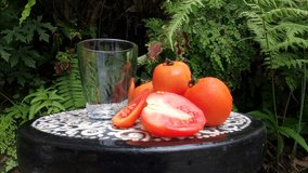 Pouring Organic Juice Of Fresh Pink Red Orange Tomato in a Glass With Slice On Round Table Outdoor For Healthy Life, Nutrition And Herbal Medicine Consume By Vegetarian, RAW Full HD And 4K Video. 