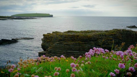 Wide of rocky nesting area for terns in Orkney Scotland with Brough of Birsay