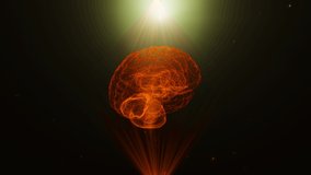 Artificial Intelligence. Hologram of the human brain rotates among particles of light in rays of green. 3d render. Diagnosis of diseases. The future of MRI video. 4K footage - Powered by Shutterstock - Get 15% off with code: PIKWIZARD15
