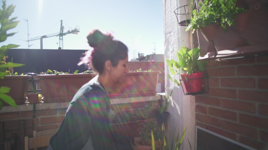 Placing pot in terrace garden with sun in background Royalty-Free Stock Footage #1045742944