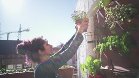 Placing pot in terrace garden with sun in background - Powered by Shutterstock - Get 15% off with code: PIKWIZARD15