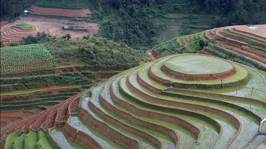 Terraced rice field in water season in Mu Cang Chai, Yen Bai province, Vietnam 