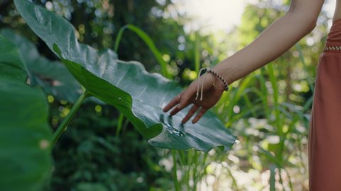 close up woman hand touching plants walking in forest exploring lush tropical jungle enjoying natural beauty 4k Video Stok