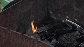 Black charcoal burning in close-up.