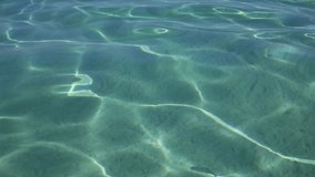 Closeup view of beautiful rippling clean transparent salt water of Aegean sea splashing softly at scenic sandy beach outdoor. Video footage of marine landscape of Greece.