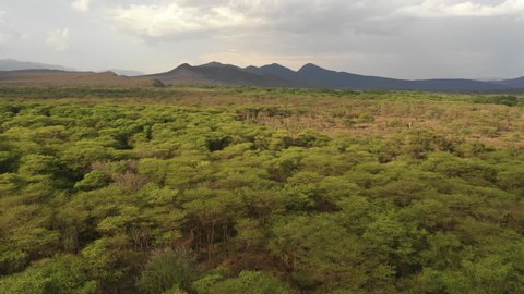Africa natural landscapes - drone flight over beautiful lush green forest in Nechisar national park in South Ethiopia
