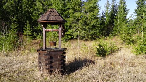 An old wooden fountain near the forest