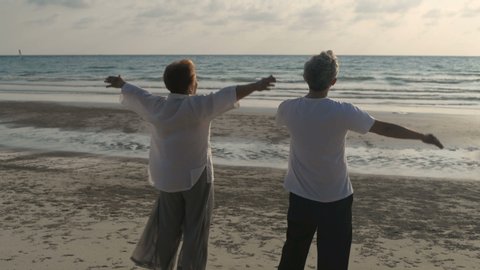 Holiday concept. Old people are practicing fresh breath by the sea. 4k Resolution.