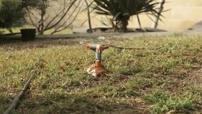 Garden Grass Watering. Smart garden activated with full automatic sprinkler irrigation system working in a green park, watering lawn, flowers and trees sprinkler head rotation. Slow motion video.