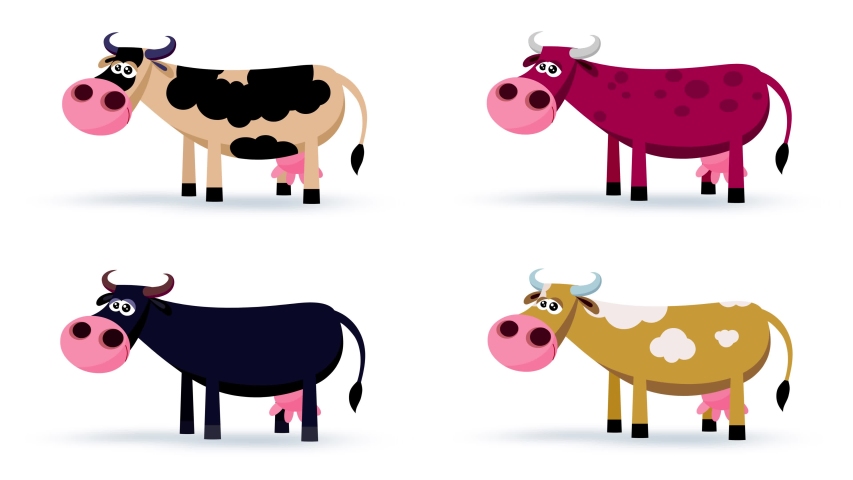 Cartoon animals character four colour  cows moves with mask – walking, eating, standing, walking one step. Loop. Seamless transitions with outline and alpha channel. Useful for any project.
