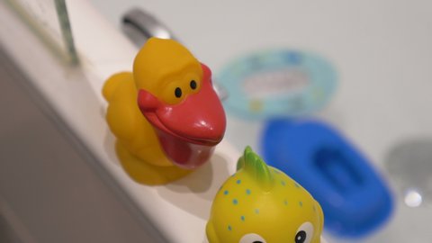 Squishy rubber animals on tub ledge and plastic toys floating in water. High angle view. 