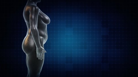 Female HOURGLASS Body Shape Anatomy Gaining and Losing Weight in multiple positions. Futuristic animation - Slim to Fat Scan Interface. 