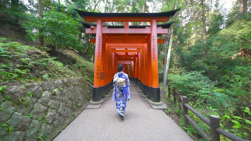 japan kyoto - november 23 2018 Stock Footage Video (100% Royalty-free