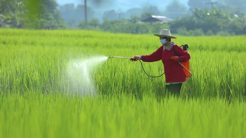 Farmers are spraying chemicals on the farm.Agriculture uses chemicals on the farm.Agricultural chemicals,