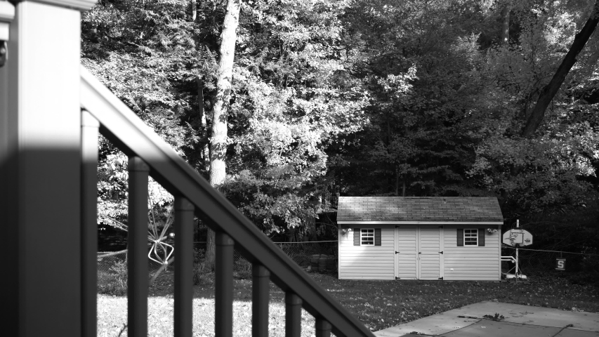 Still take of a pretty backyard during the start of Autumn. Features the beginning of leaves changing color. Black and White.